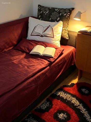 Iasi Apartment | apartament o camera - garsoniera
