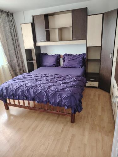 Geoagiu Apartment | Apartament