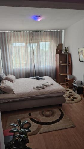Ramnicu Valcea Apartment | Apartament