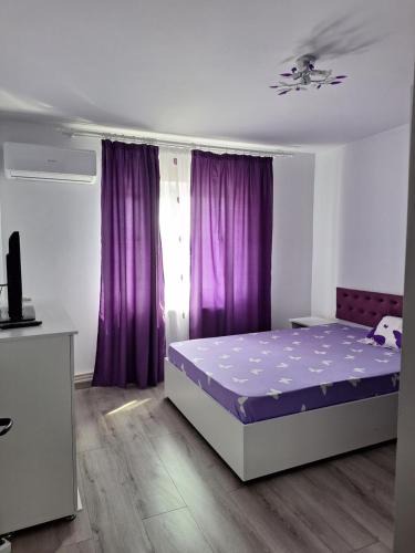Barlad Apartment | Apartament Sara