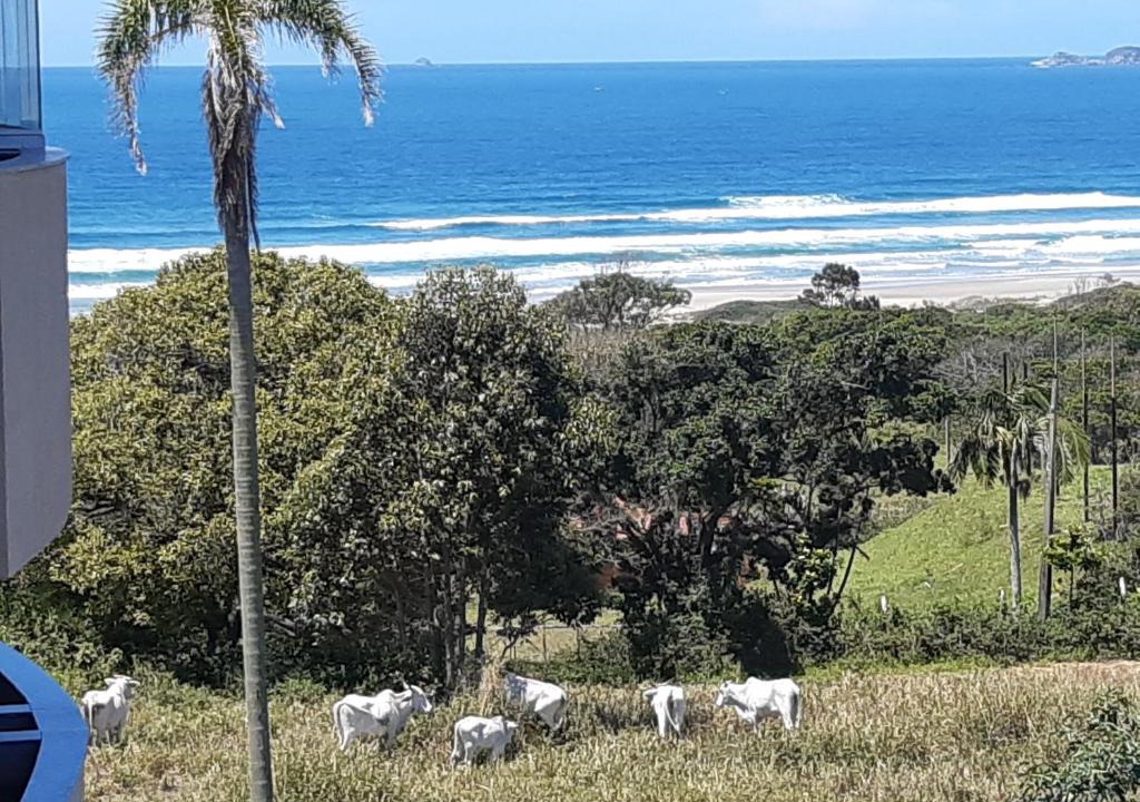 Vila Nova Apartment | APARTAMENTO 403 COMPLETO no PARAISO DAS PRAIAS LIMPAS DE IMBITUBA