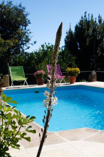 Malpartida de Plasencia Apartment | Apartamentos La Solana de Monfragüe
