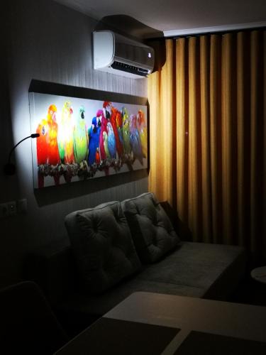 Nossa Senhora da Expetacao Apartment | Apartamento MS