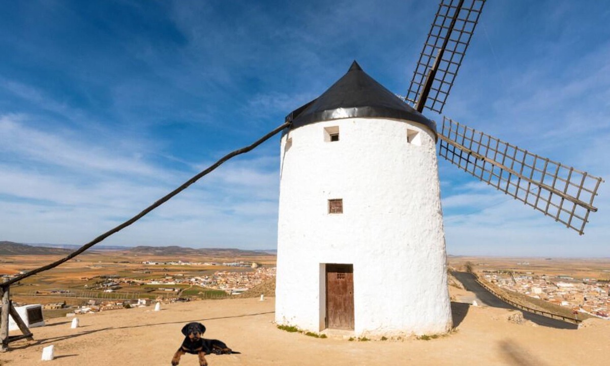 Consuegra Apartment | Apartamentos Consuegra
