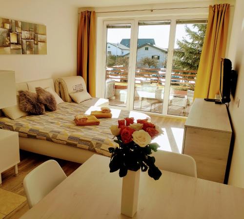 Moravske Toplice Apartment | Apartma MAX