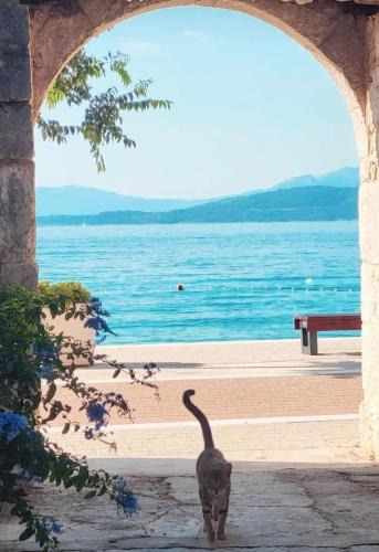 Igrane Apartment | Apartman Andrea