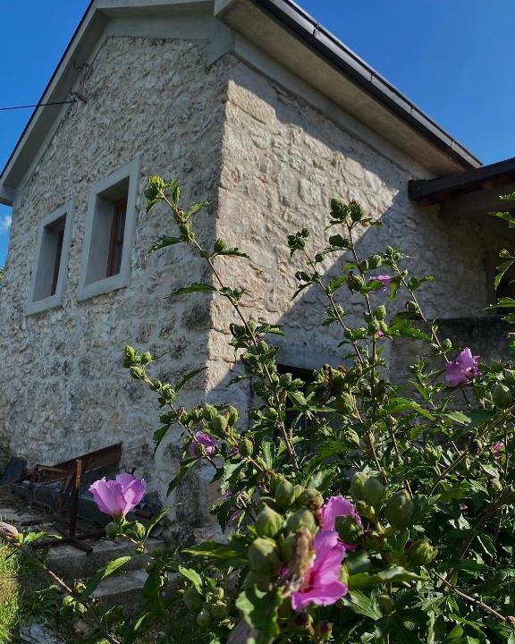 Grahovo Villa | Apartman LENNA