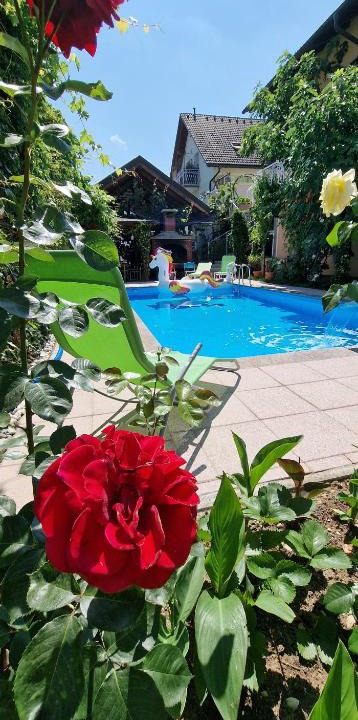 Ig Apartment | APARTMAN MURKO S-1
