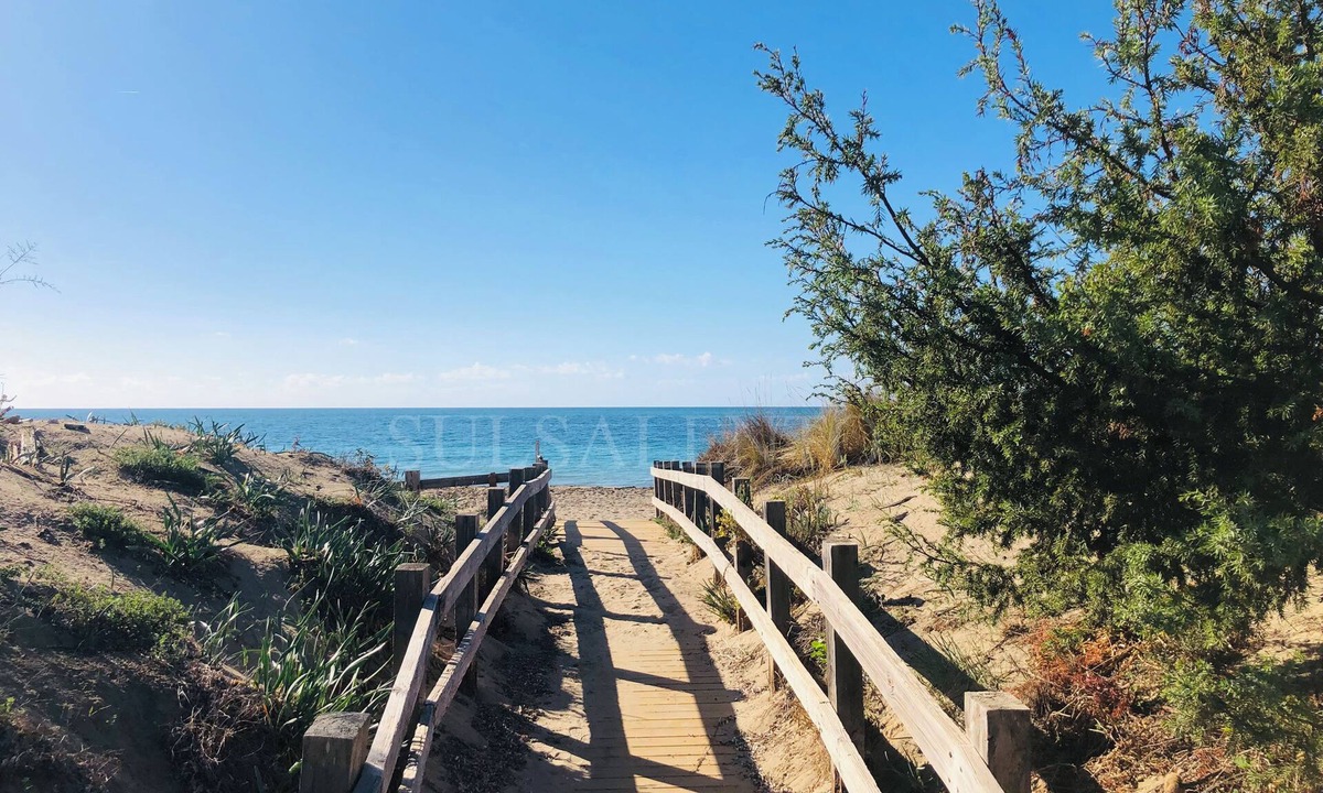 Torre Mozza Apartment | Apartment 50 meters sand second floor SOLARIS TWO