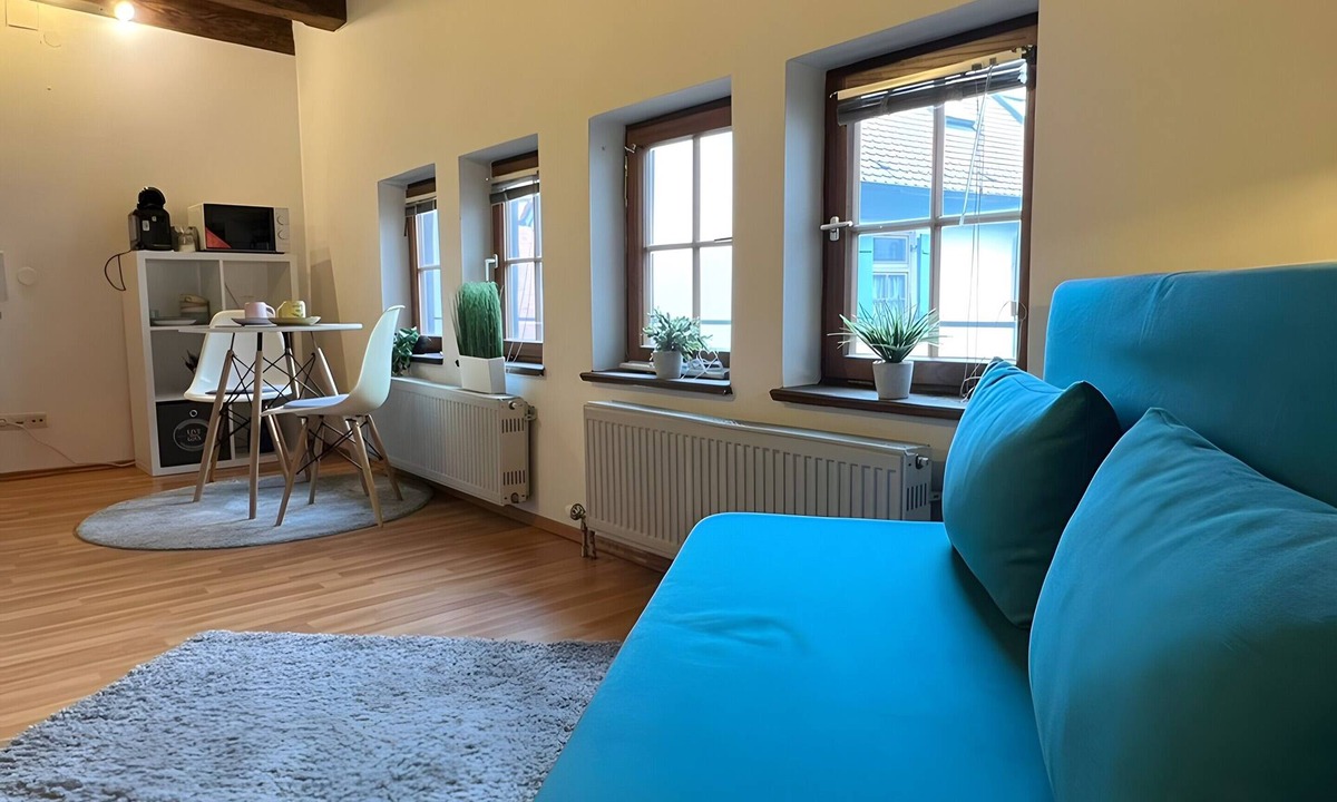 Ulm House | Apartment 6 Ulmer Spatz with Wi-Fi