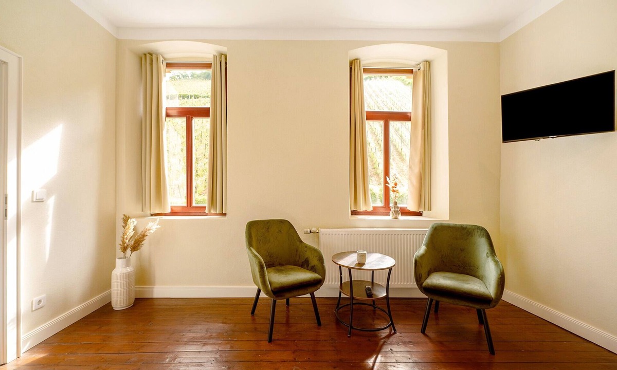 Traben-Trarbach Apartment | Apartment 'Alte Stadtvilla Am Weinberg 4' with Shared Garden and Wi-Fi