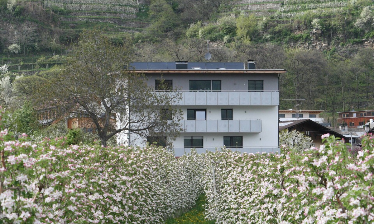 Silandro Apartment | Apartment "Apple Blossom" with large balcony