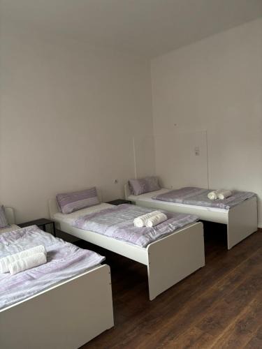 Oberdorla Apartment | Apartment