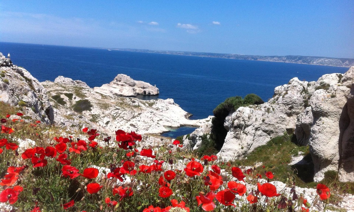 6th Arrondissement Apartment | Apartment/flat - Marseille