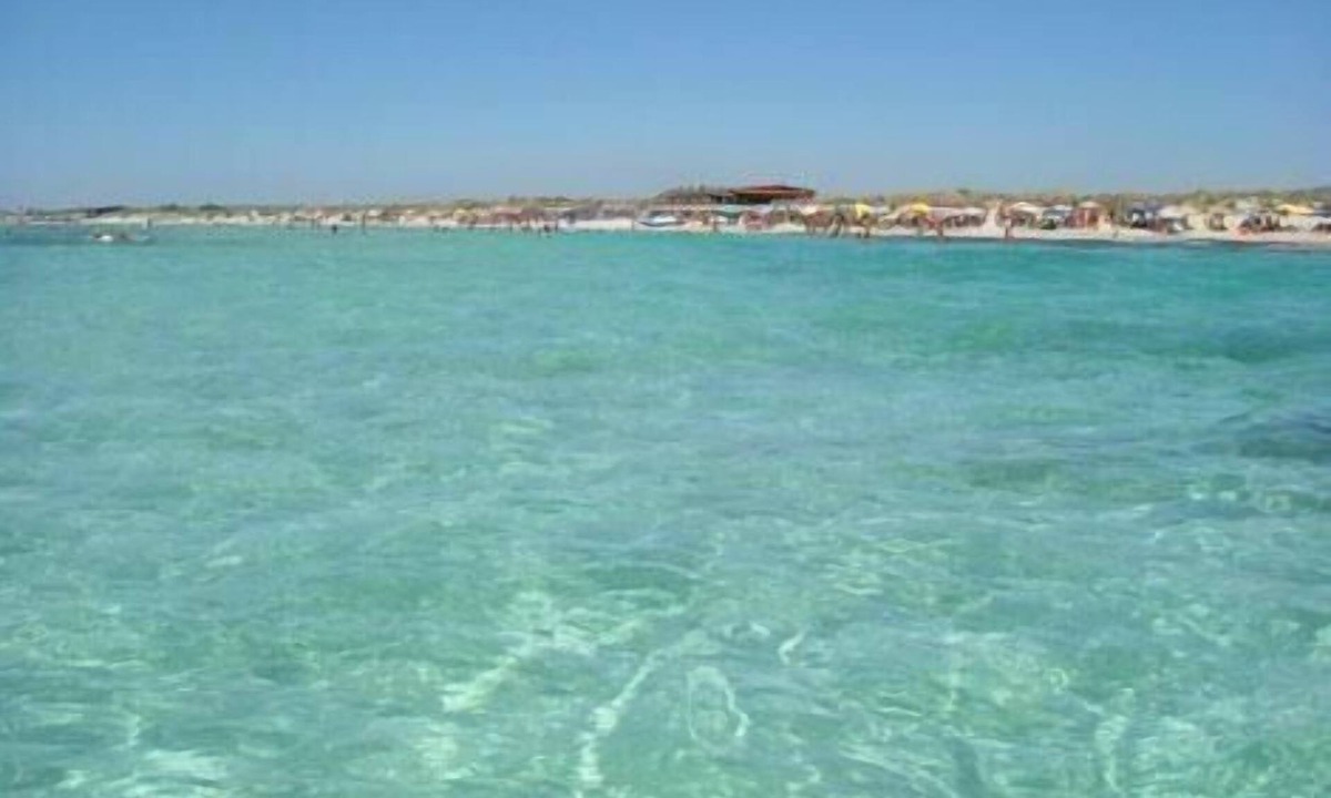Torre Mozza Apartment | Apartment in Torre Mozza with Furnished Terrace