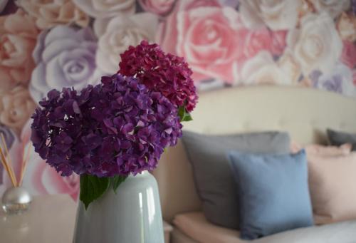 Sasbachwalden Apartment | Apartment Rose Sasbachwalden