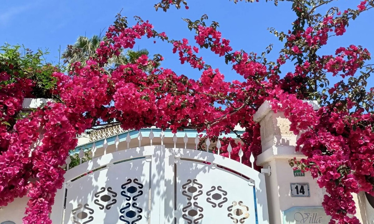 Torre Chianca Villa | Apartment sleeps 4 in a villa 100m from the sandy sea
