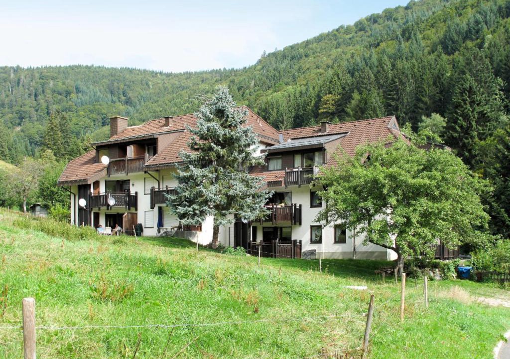 Todtnau Apartment | Apartment Sonnenblick (TON101)