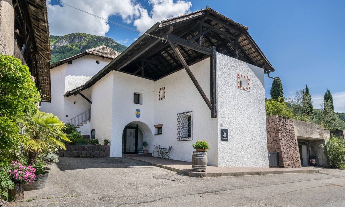 Terlano Apartment | Apartment 'Thanhammer Nova Domus' with Mountain View, Pool and Air Conditioning
