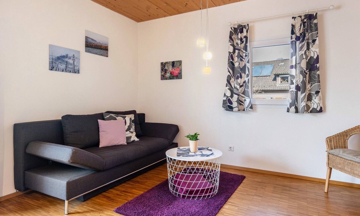 Neipperg Apartment | Apartment "Trollinger" with Balcony and Wi-Fi