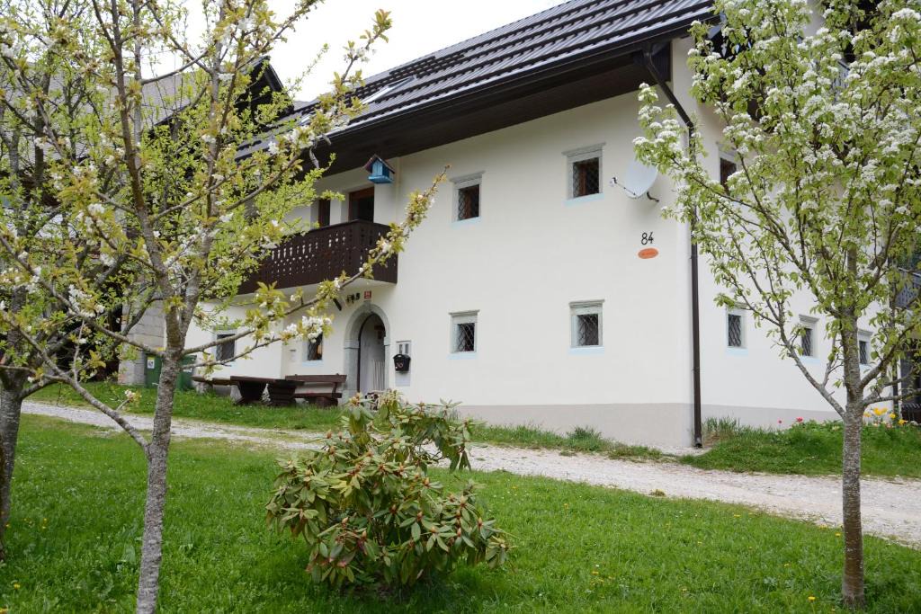 Gorje Apartment | Apartment Zatrnik