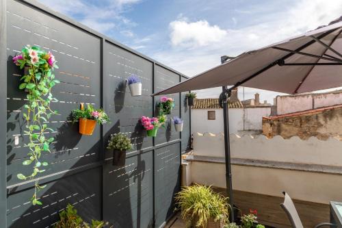 Torrequemada House | Apartments BICO DE RODAS a Rural Luxury