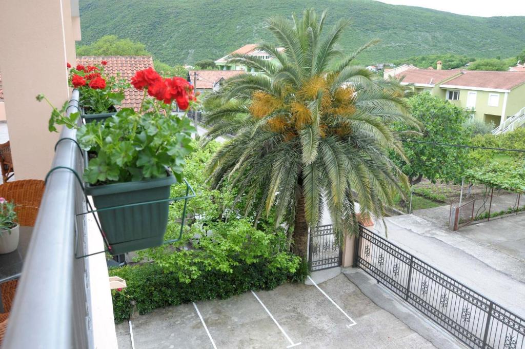 Prijevor Apartment | Apartments Royal
