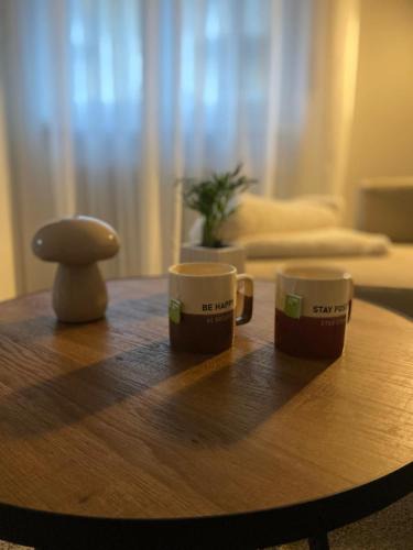 San Michele All'adige Apartment | Appartamento completo, ben attrezzato con giardino