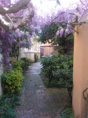Castiglioncello Apartment | Appartamenti Torre Medicea 1