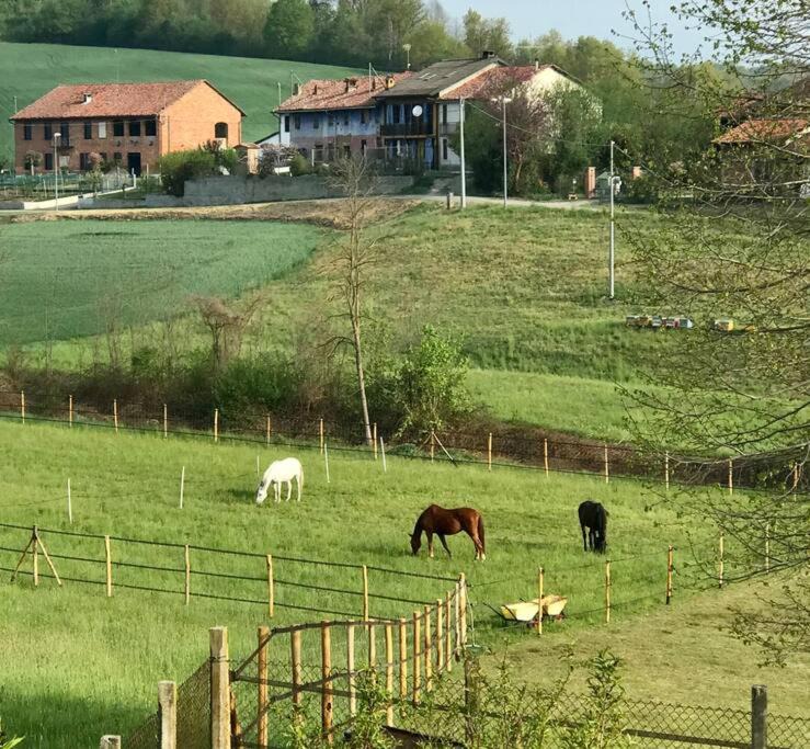 Roatto Apartment | Appartamento in cascina -la cascinetta di Ali-