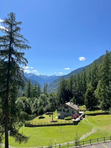 Valtellina Apartment | Appartamento Elegante con Servizi in oasi verde