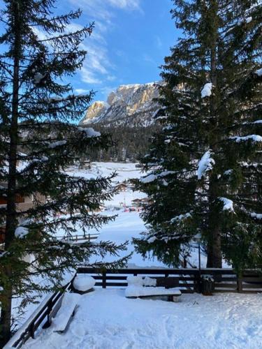 Selva di Val Gardena Apartment | Appartamento ai piedi delle Dolomiti