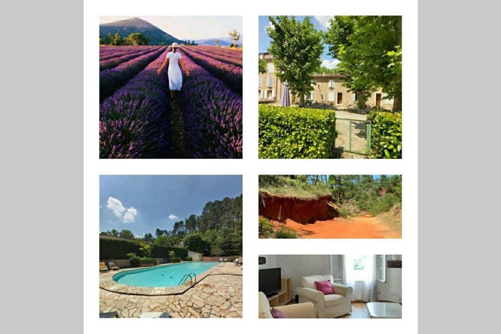 Rustrel Apartment | Appartement de charme au calme avec piscine, au pied du Colorado provençal, cœur du Luberon