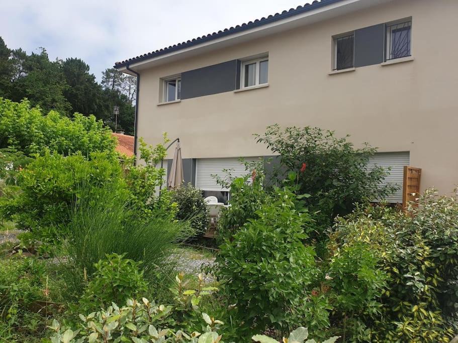 Labenne Apartment | appartement villa florecita