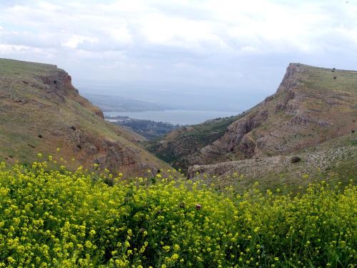 Arbel Cabin | Arbel Holiday Homes