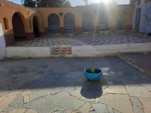 Aswan House | Arman House
