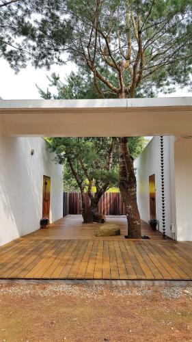 Shitan House | Aroundthetree Hermitage