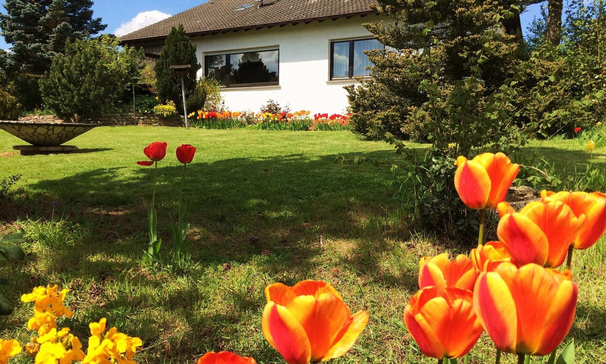 Daxweiler House | Arrive and feel good, dogs are welcome!