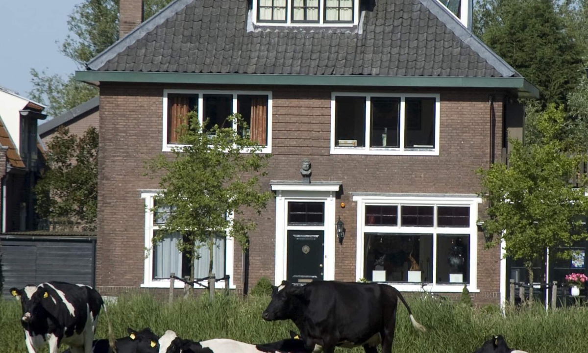 's-Graveland Apartment | Art+bed and breakfast, short or long-term holidays