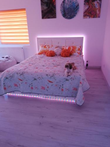 Bistrita Apartment | Art Studio BN