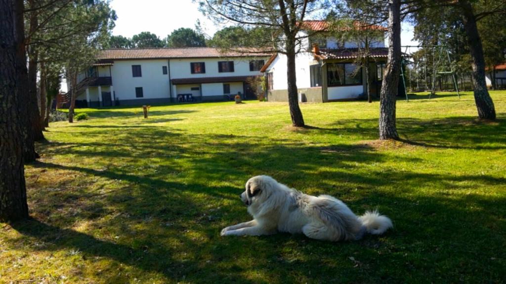 Terranuova Bracciolini Bed & Breakfast | Artenatura BeB