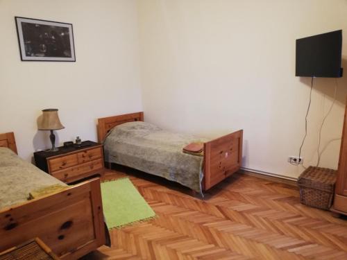 Timisoara House | Arthouse Lucrezia