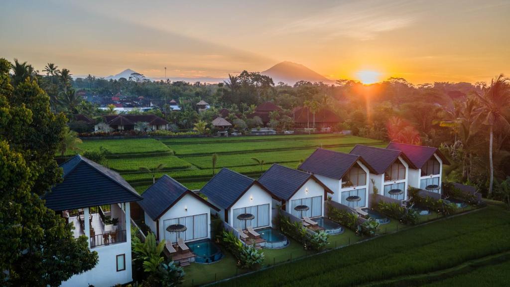 Tegallalang Villa | Ascarya Villa Ubud