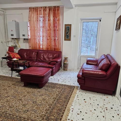 Bicaz House | Ascunzis