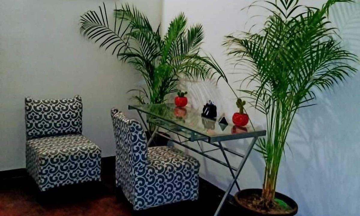 La Paz Apartment | ASISTENTE VIRTUAL, NETFLIX, INTERNET DE ALTA VELOCIDAD Y AREA DE FUMADORES