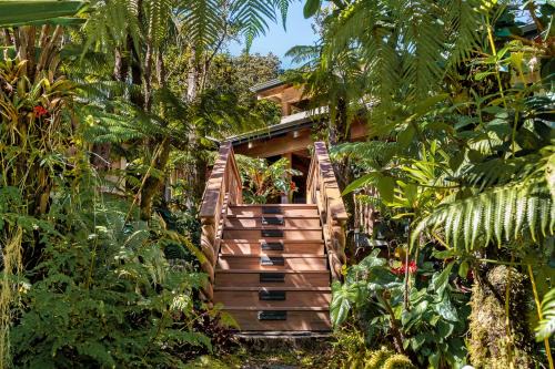 Volcano House | At the Craters Edge