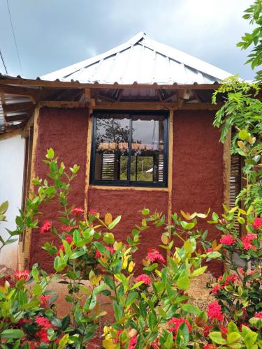 Las Galeras Other | Atabeba