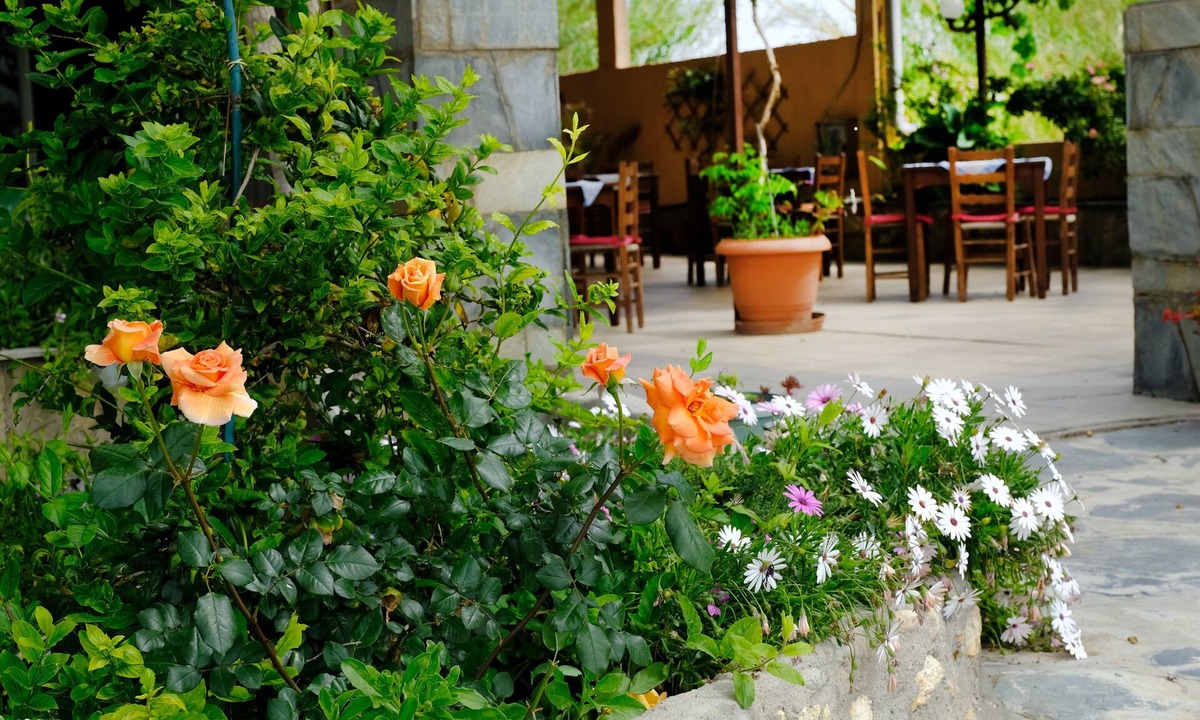 Misiria Hotel | Athina Rooms