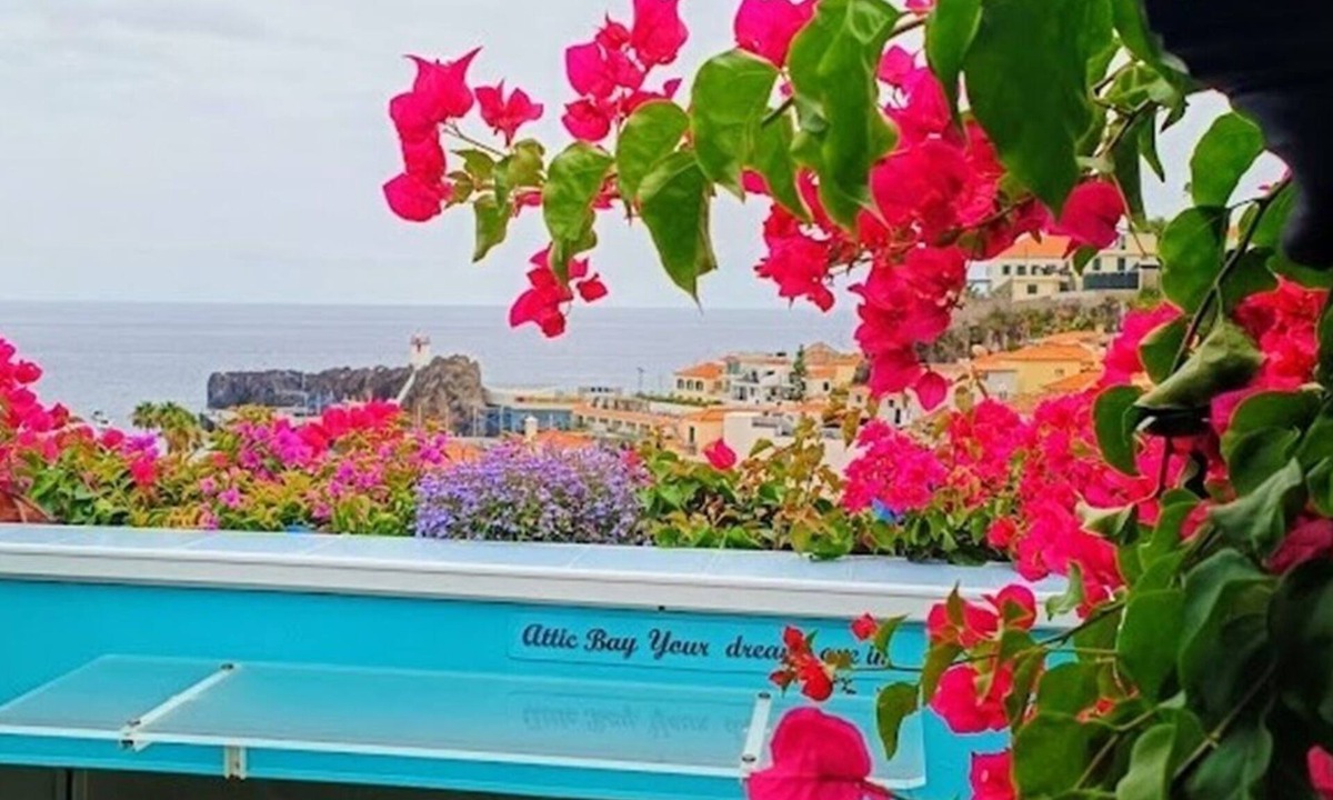 Camara de Lobos Apartment | ATTIC BAY WOLF CHAMBER