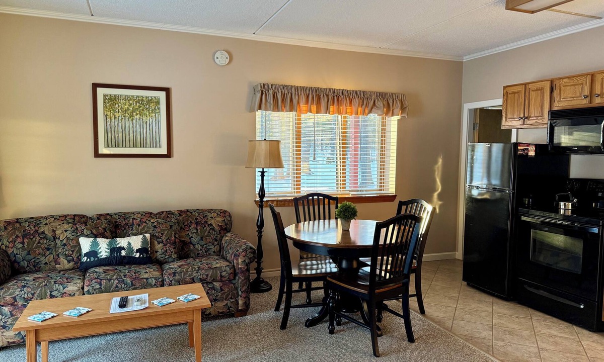Bartlett Condo | Attitash 1st Floor Studio With Mountain View